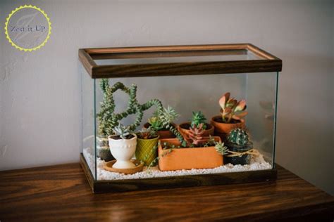 You could also just use pvc or an acrylic tube. Easy DIY Terrarium From an Old Fish Tank | Hometalk