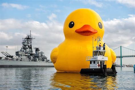 World S Largest Rubber Duck Coming Back To Duluth For Festival Of Sail