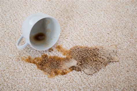 3 kaffeeflecken auf dem teppich entfernen. Kaffeeflecken entfernen - Putzen.de