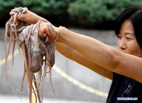 Koreans Eat Live Octopuses During Local Food Festival Chinadaily Cn