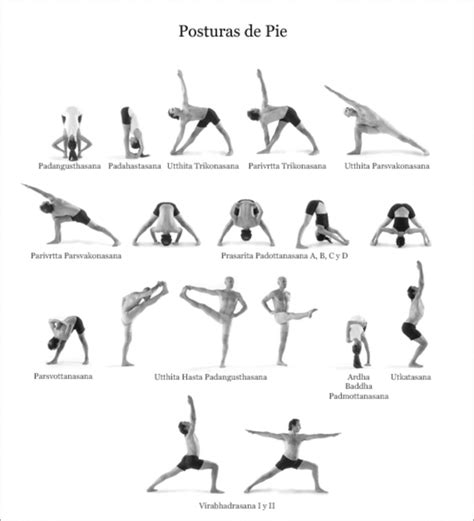 Ashtanga Yoga Para Principiantes En Español