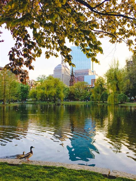 20 Top Reasons To Visit Boston Adventure At Work Visiting Boston