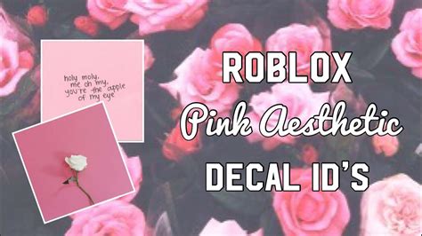 Roblox Pink Aesthetic Decal Ids Youtube