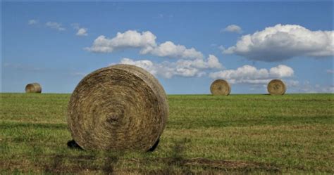 The Difference Between Square Round Hay Bales Morning Ag Clips