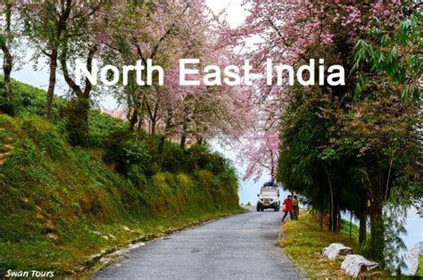 Travel To North East Indian 4 Ways To Experience The Best North East