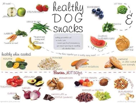 Dog Safe Foods Healthy Dog Snacks Dog Safe Food Healthy Dogs
