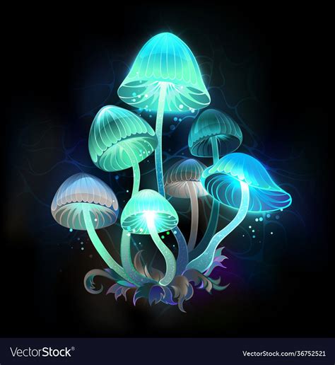 Mushroom Paint Mushroom Drawing Digital Painting Art Painting