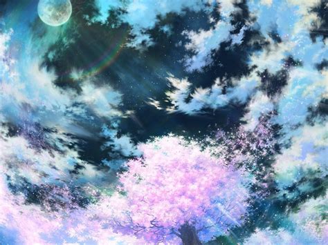 Cherry Blossoms Anime Scenery Wallpapers Top Free Cherry Blossoms