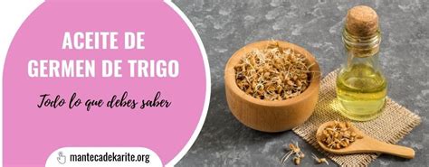 Aceite De Germen De Trigo Propiedades Y Beneficios Manteca De Karite