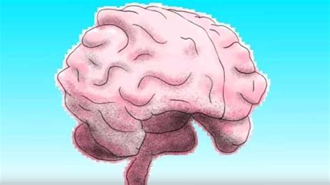 The Left Brain Vs Right Brain Myth Video Technology Networks