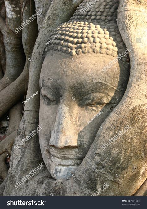 Head Buddha Wat Mahathat Ayutthaya Thailand Stock Photo 70013083