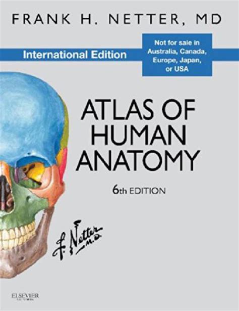 Atlas Of Human Anatomy International Edition 6th Edition Buy Atlas