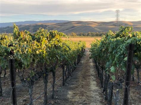 Livermore Valley wine country: Why go? | Wine | napavalleyregister.com