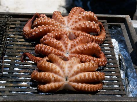 6 Fun And Unusual Foods To Cook On The Grill Delishably