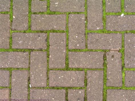 Herringbone Brick Pattern With Moss Backyard Walkway Farmhouse Landscaping Terrace Garden