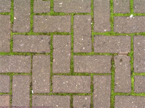 An easy diy tutorial to make a simple herringbone pattern reclaimed brick garden path in your own backyard. herringbone brick pattern with moss | Backyard walkway ...
