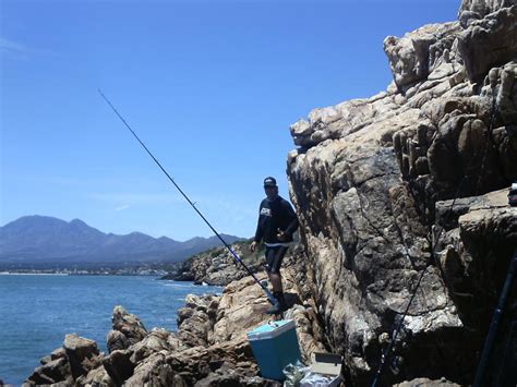 Quick Trip To Cape Town South Africa Fishing