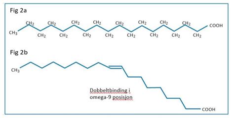 Hva Er Forskjellen På Mettet Og Umettet Fett Helsedirektoratet