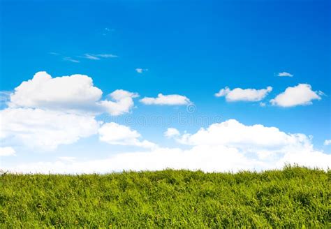 Green Field With Blue Sky Stock Image Image Of Summer 117215097