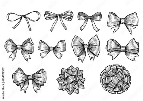 Bow Ribbon Illustration Drawing Engraving Ink Line Art Vector Stock Vector Adobe Stock