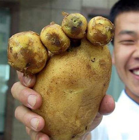 Funny Looking Potato Looks Like A Foot Funny Faxo