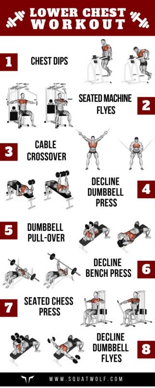 8 lower chest workouts for defined pecs squatwolf