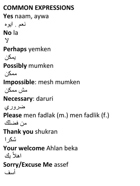 Egyptian Arabic Vocabulary Pdf