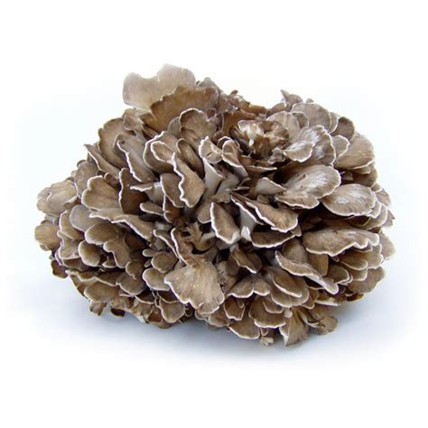 Hen Of The Woods Mushrooms Farmstead Foods