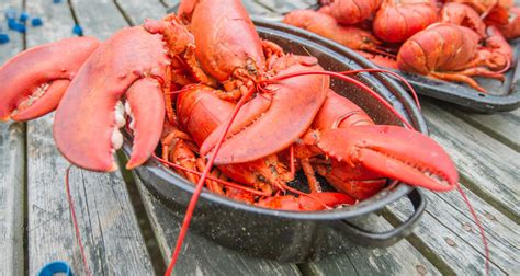 High Life Decoded Everything You Need To Know About Eating Lobsters