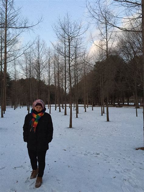 Pada musim bunga, terdapat pelbagai tempat diseluruh korea dimana anda boleh melihat keindahan warna pink muda bunga ceri. Pakaian Ikut 4 Musim di Korea