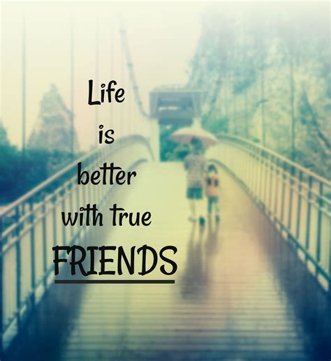 National Best Friends Day 2022 Quotes Images History Afpr