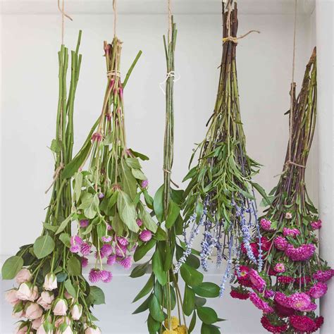 My mother just always told me to hold them upside down haha. Hold Bunch Flowers Upside Down - 6 Ways To Preserve Your ...