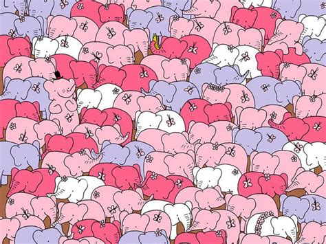 Mencari objek tersembunyi hidden koleksi bbm cikgu zuraidah facebook 15 gambar tes mata berapa banyak yang bisa kamu tebak mari belajar tunas. Tebak Gambar Gajah - Tebak Gambar