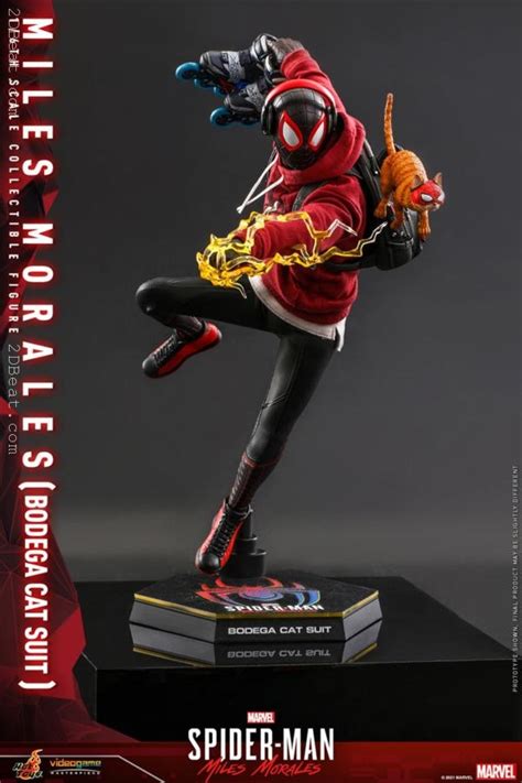 Hot Toys Vgm50 Marvels Spider Man Miles Morales Bodega Cat Suit 16