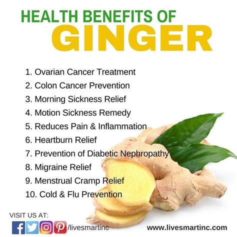 Health Benefits Of Ginger Ginger Livesmartinc Livesmartinc Com Ginger Benefits