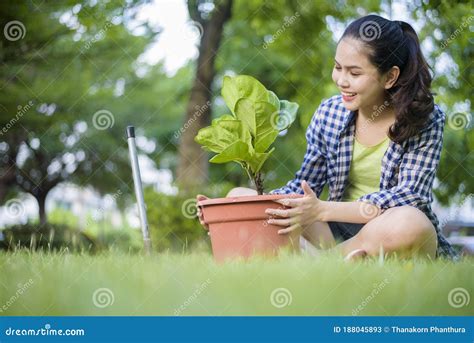 Woman Is Planting The Tree In The Garden Stock Image Image Of Garden