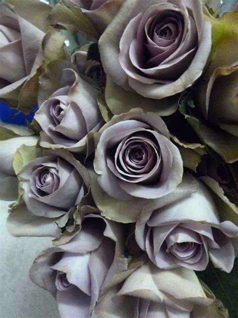 Photo The Glassroom Amnesia Roses Wedding Centerpieces Wedding