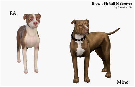 Sims4sisters — Blue Ancolia Brown Pitbull Makeover First