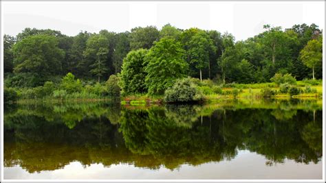 Gardening with new york city native plants. Texas Adventures in New England: Connecticut Native and ...