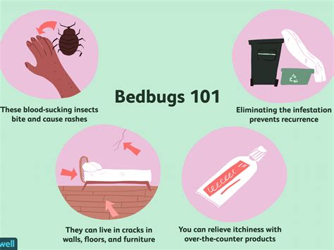 How To Get Rid Of Bed Bug Rashes Pest Phobia