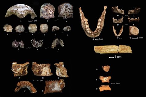 Early Modern Humans From Tam Pà Ling Laos Fossil Review And