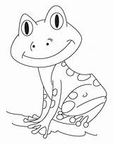 Pollywog Template Tadpole sketch template