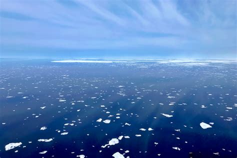 2019 Aerial Surveys Of Arctic Marine Mammals Post 3 Noaa Fisheries