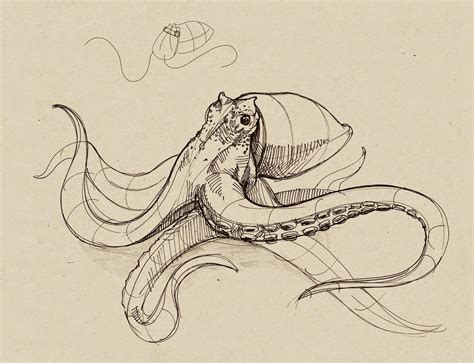 Dynamic Sketching With Peter Han Animal Sketches Animal Drawings
