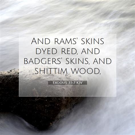 Exodus 357 Kjv And Rams Skins Dyed Red And Badgers Skins And