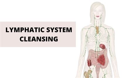 Lymphatic System Cleansing 3 Simple Ways To Cleanse And Detoxify The
