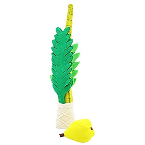 Best Etrog And Lulav Set That You Can Buy