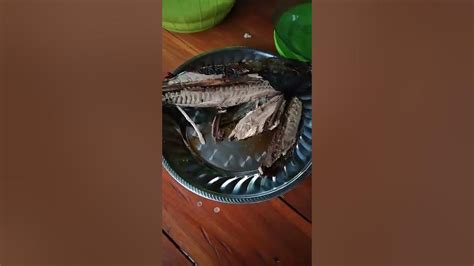 Ikan Kontol Panggang Et Tongkol Youtube
