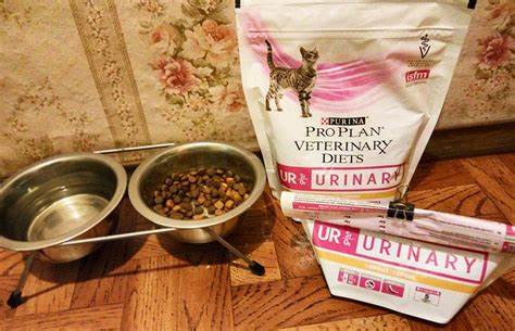 Пурина Уринари (Purina Urinary) - корм для кошек: состав, отзывы, цены Картинка - Пурина Уринари (Purina Urinary) - корм для кошек: состав, отзывы, цены