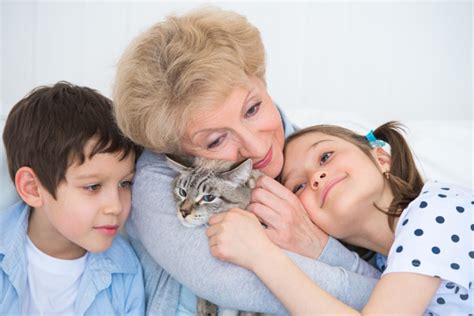 When you foster, you agree to take a homeless cat into your home and give him or her love, care and attention, either for a predetermined period of time or until the cat is adopted. 5 Ways to Teach Kids About the Awesomeness of Rescuing ...